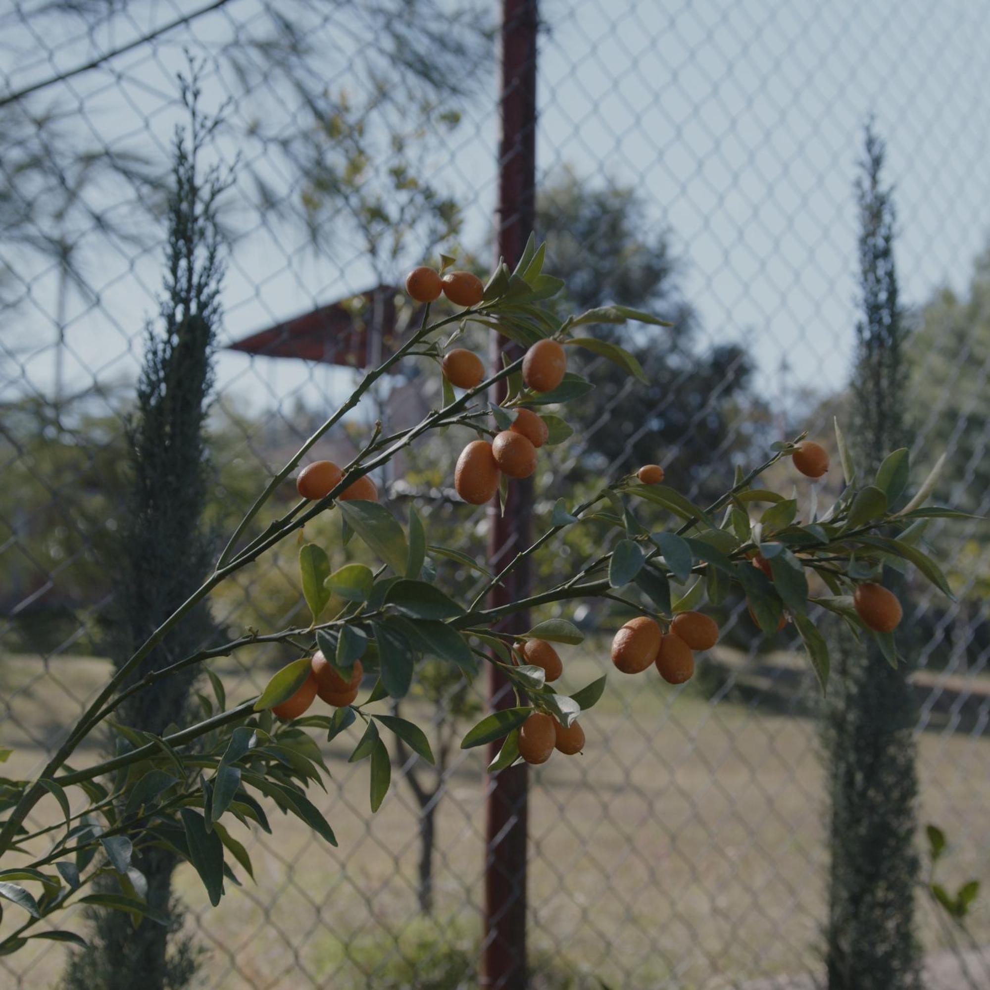 Finca La Cumbre Tepatitlan de Morelos Εξωτερικό φωτογραφία